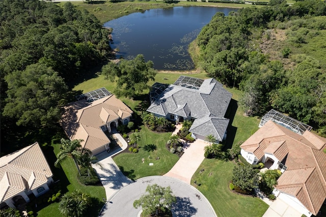 aerial view with a water view