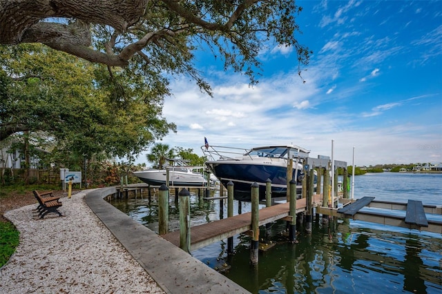 dock area with a water view