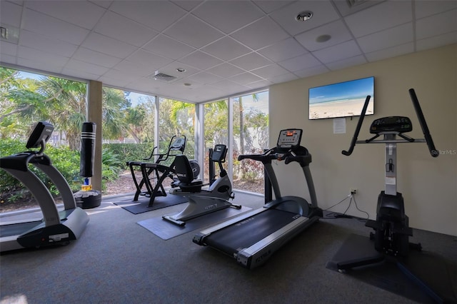 workout area featuring expansive windows, carpet floors, and a drop ceiling