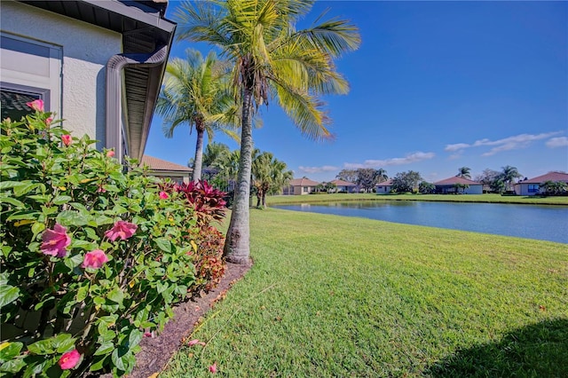 view of yard with a water view