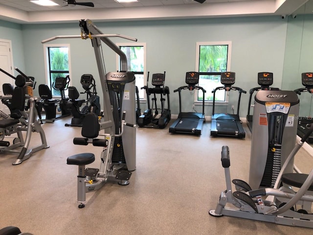 exercise room with ceiling fan and a paneled ceiling