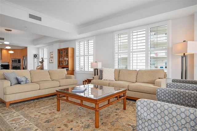 living room with crown molding and a raised ceiling