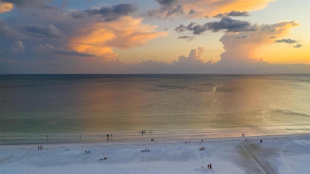 water view featuring a beach view