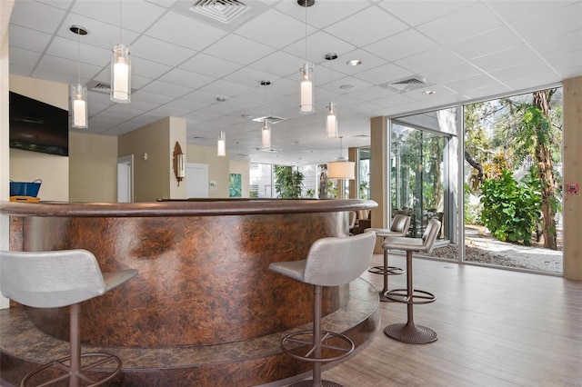 bar with a paneled ceiling, floor to ceiling windows, decorative light fixtures, and wood-type flooring