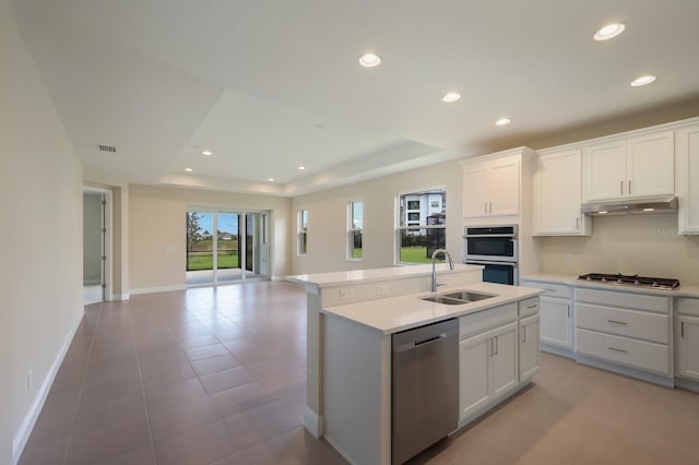 kitchen featuring an island with sink, white cabinetry, appliances with stainless steel finishes, a tray ceiling, and sink