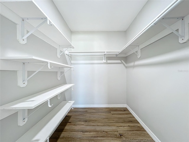 spacious closet with dark wood-type flooring