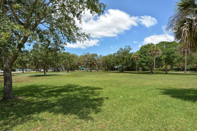 view of community featuring a lawn