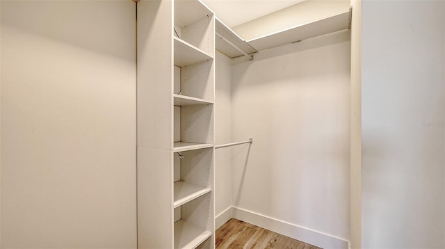 walk in closet with light wood-type flooring