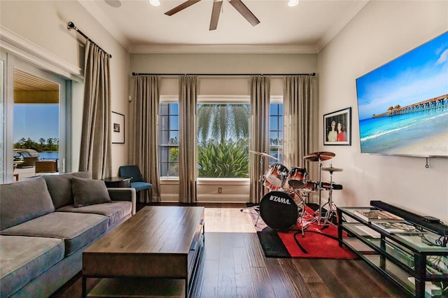 living room with ceiling fan and dark hardwood / wood-style flooring