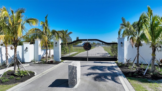 view of road featuring curbs, a gated entry, and a gate