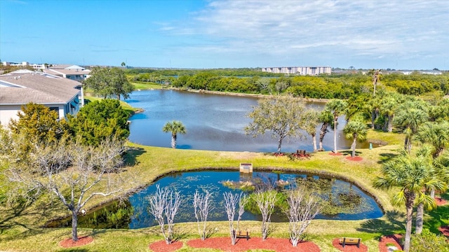 aerial view with a water view