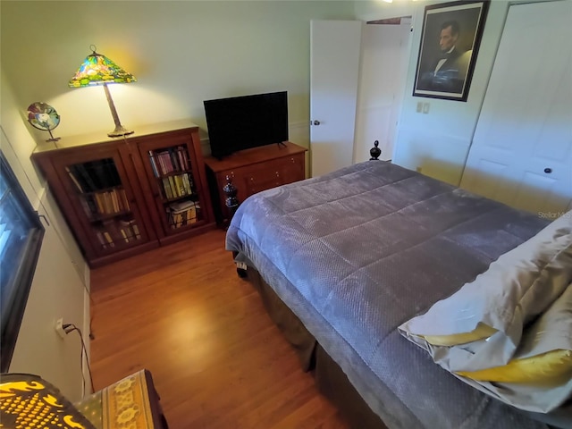 bedroom featuring a closet and wood-type flooring