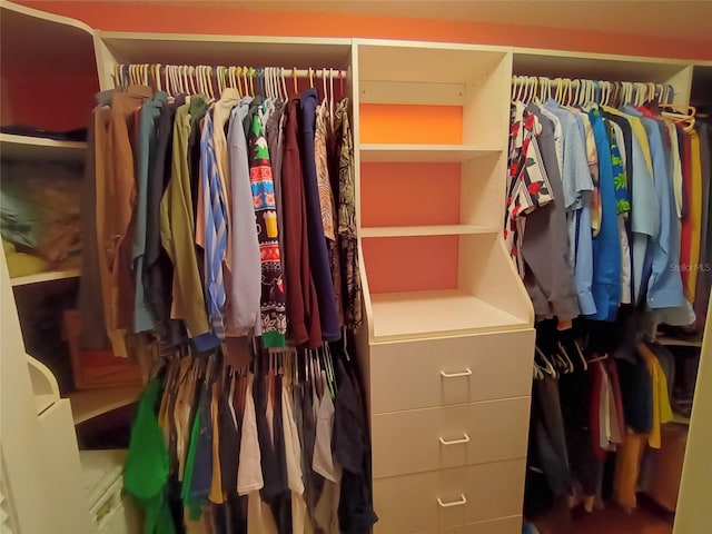 view of walk in closet