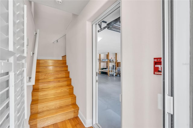 stairway with wood-type flooring