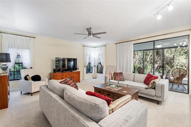 living room with light carpet, a textured ceiling, ceiling fan, and track lighting