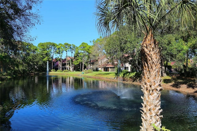 view of water feature