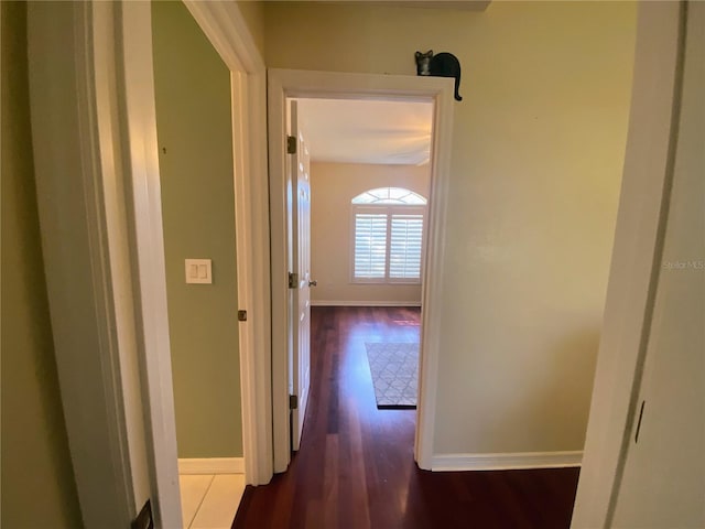 hallway with dark wood-type flooring