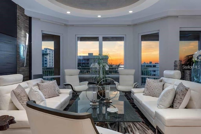 living room with a raised ceiling