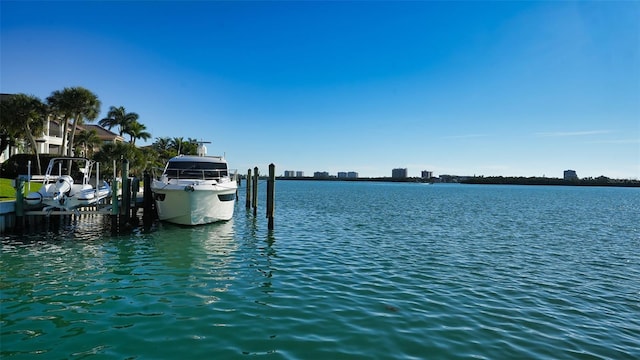 property view of water with a dock