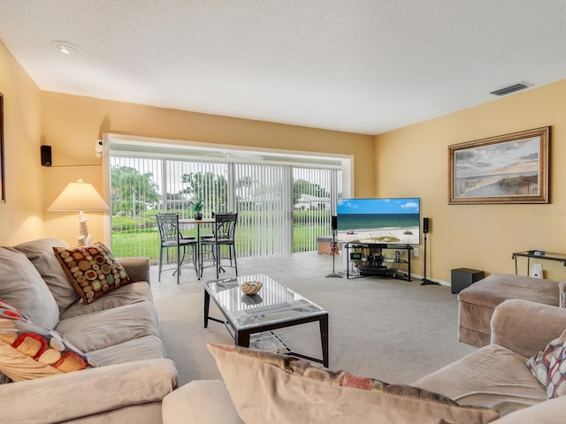 carpeted living room with a textured ceiling and a healthy amount of sunlight