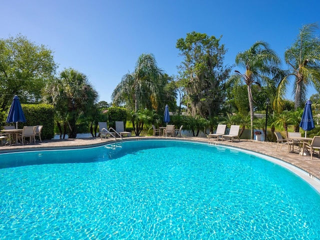 view of pool featuring a patio area