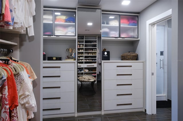 view of walk in closet