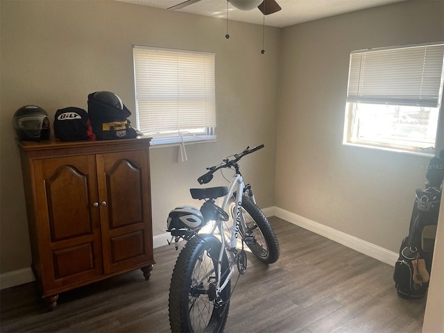 exercise area featuring ceiling fan and dark hardwood / wood-style flooring