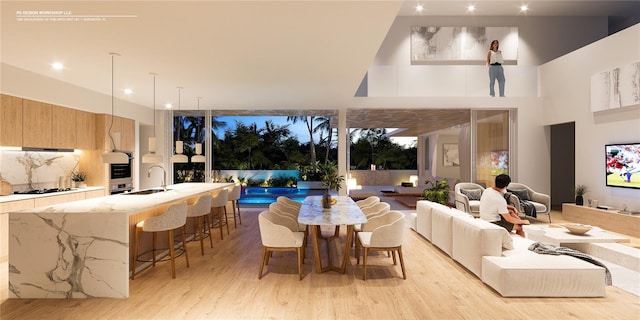 interior space with light hardwood / wood-style flooring and sink