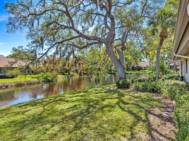 view of yard with a water view