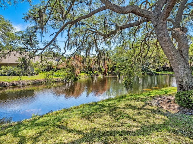 view of property view of water