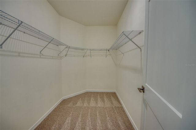 walk in closet featuring light colored carpet