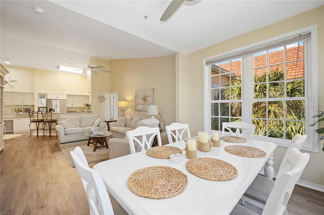 dining area with ceiling fan and light wood-type flooring