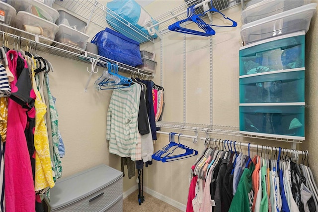 walk in closet featuring carpet flooring