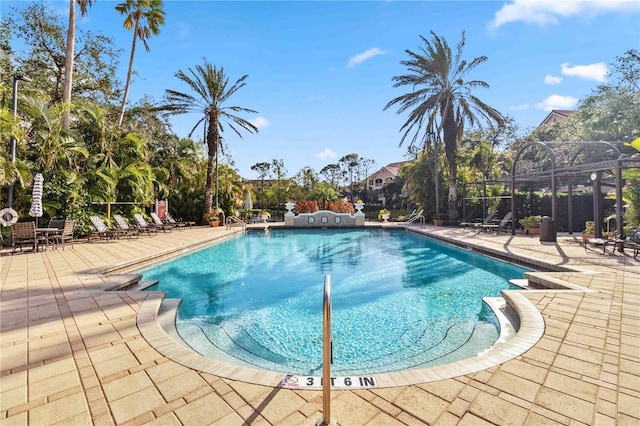 view of pool featuring a patio area