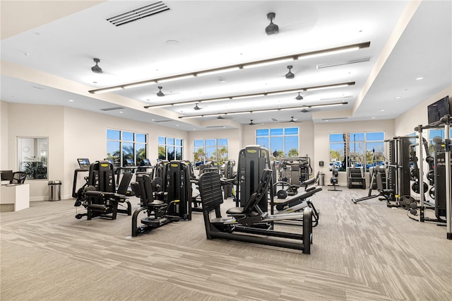 workout area featuring light colored carpet