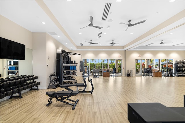 gym featuring light wood-type flooring and a raised ceiling