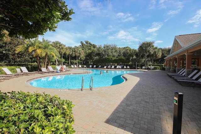 view of swimming pool featuring a patio area