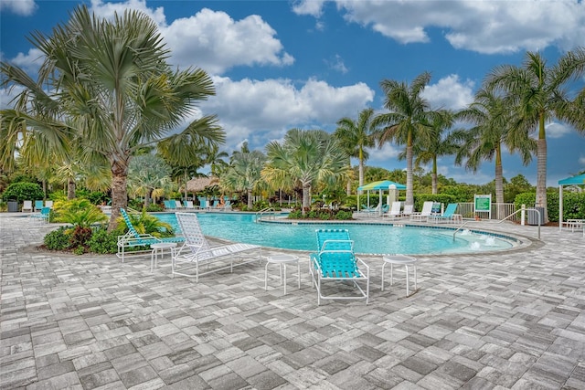 view of pool with a patio area