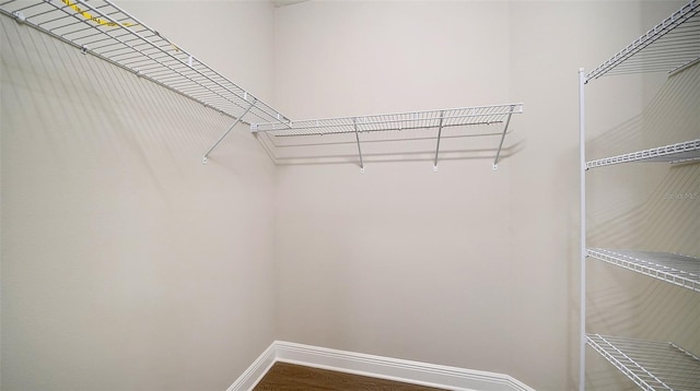 spacious closet featuring hardwood / wood-style flooring