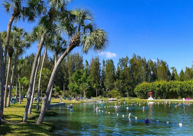 water view