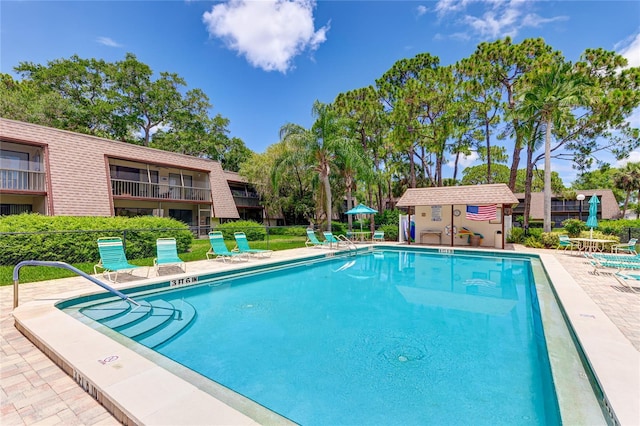 view of pool featuring a patio