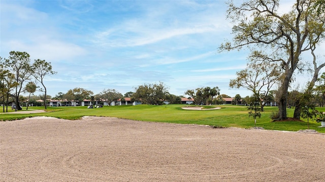 view of community with a yard