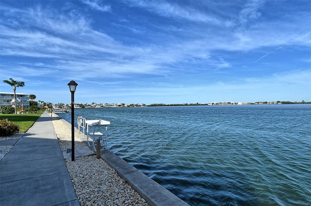 water view featuring a boat dock