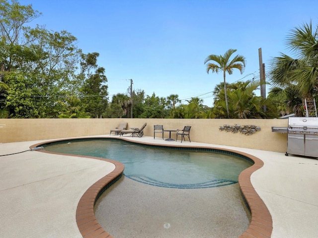 view of pool featuring a grill and a patio