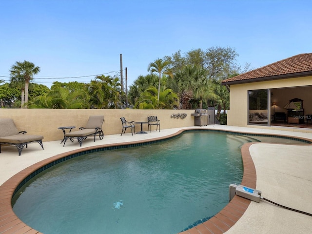 view of swimming pool with a patio