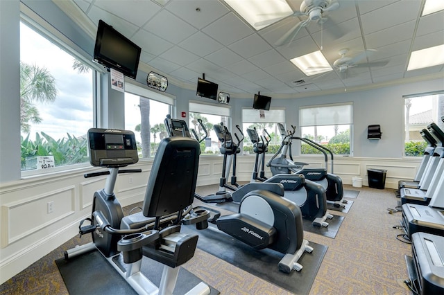 exercise room with a paneled ceiling, carpet flooring, and ceiling fan