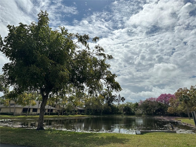 view of water feature