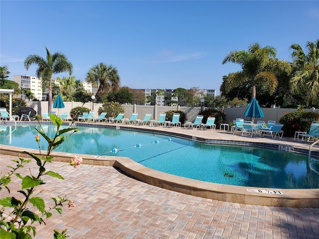 view of pool with a patio