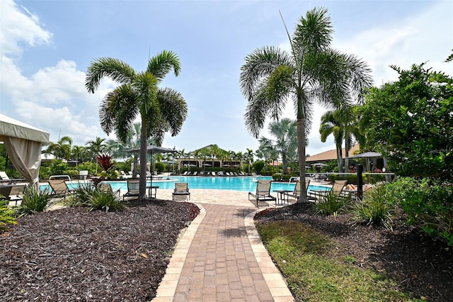 view of swimming pool with a patio area