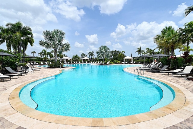 view of swimming pool with a patio